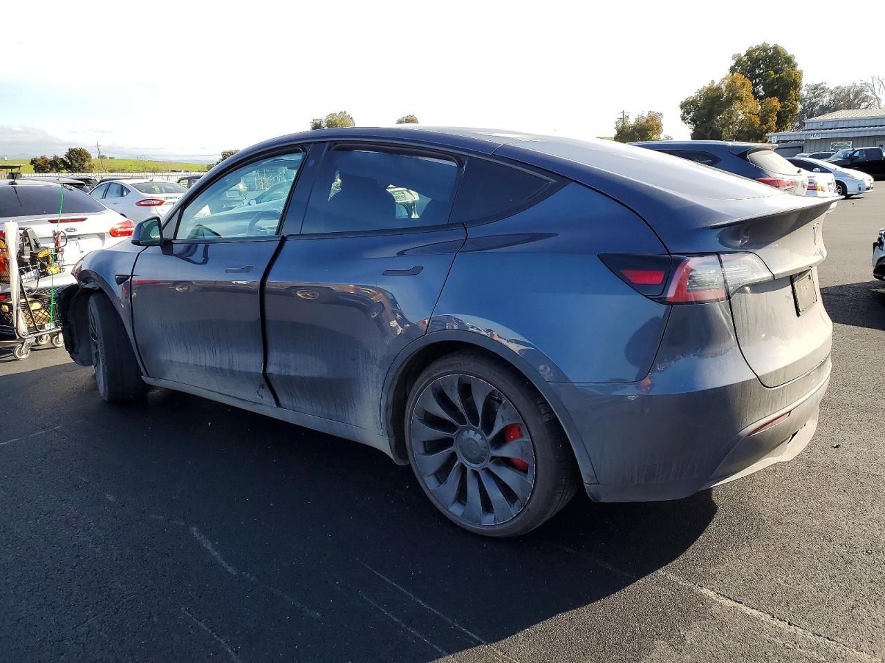 2022 Tesla Model y