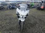 2025 Kawasaki EX500