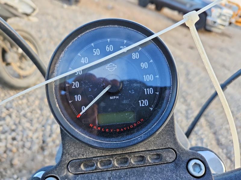 2020 Harley-Davidson XL1200 NS