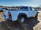 2010 Toyota Tacoma Access cab