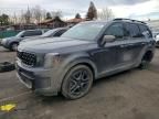 2025 KIA Telluride sx