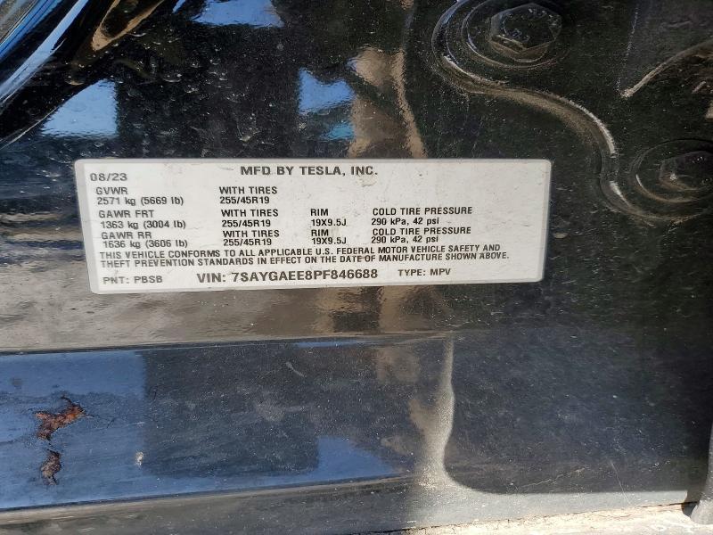 2023 Tesla Model y