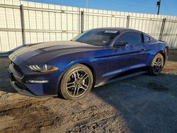 2019 Ford Mustang for sale in Mercedes, TX