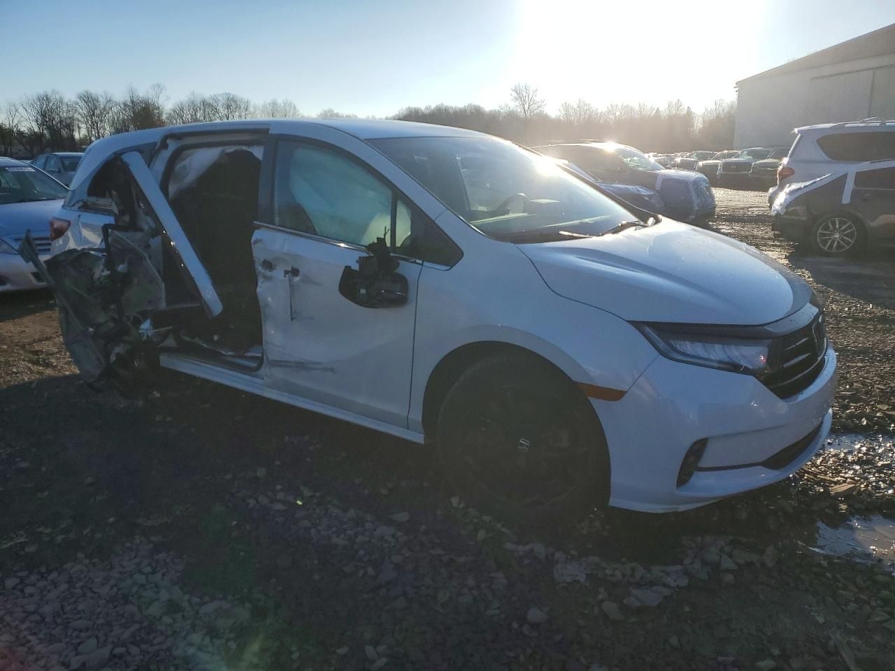 2023 Honda Odyssey Sport-l