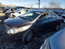 Toyota Corolla salvage cars for sale: 2010 Toyota Corolla Base
