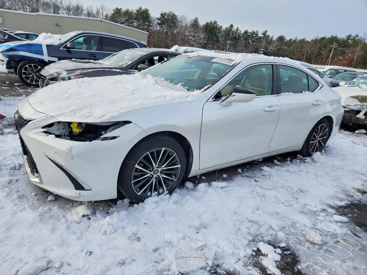 2022 Lexus Es 250 Base