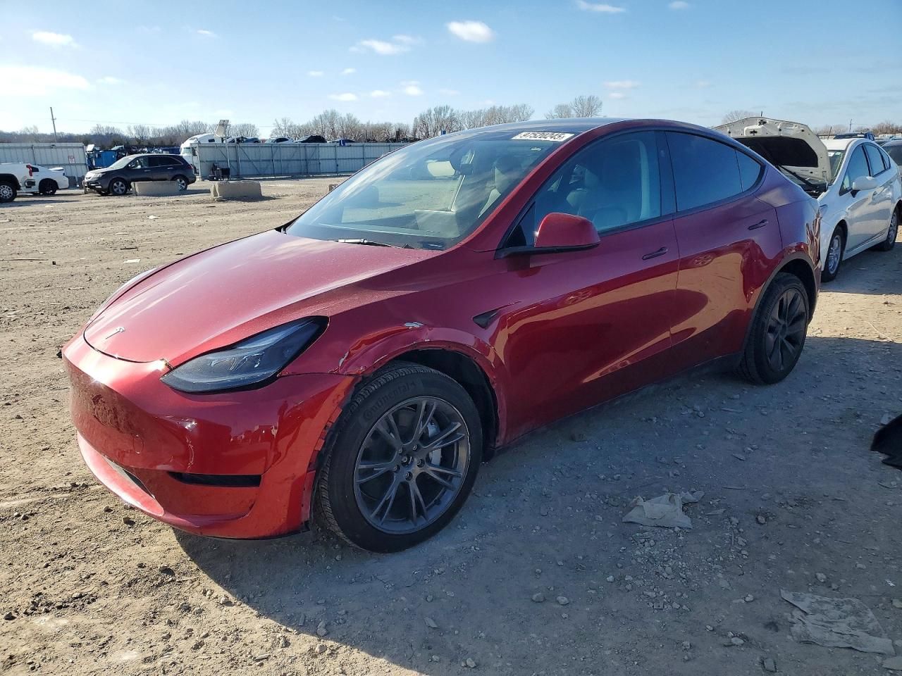 2024 Tesla Model y