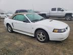 2002 Ford Mustang