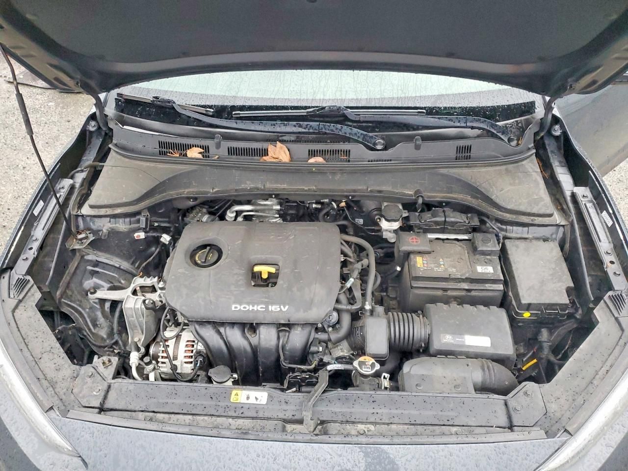 2019 Hyundai Kona se