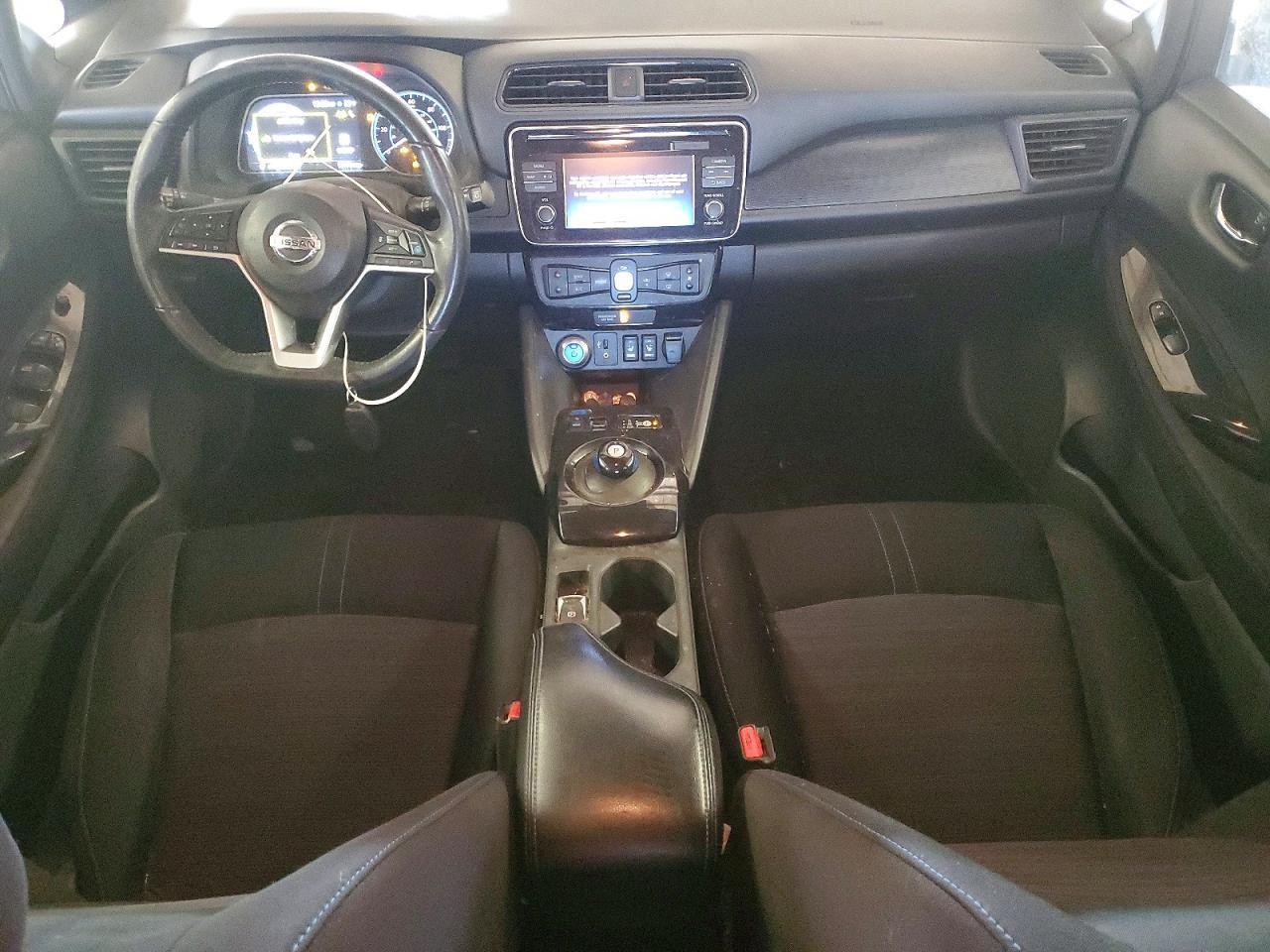 2019 Niss Leaf sv