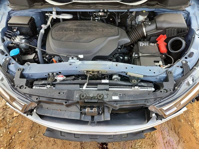 2024 Honda Odyssey Elite