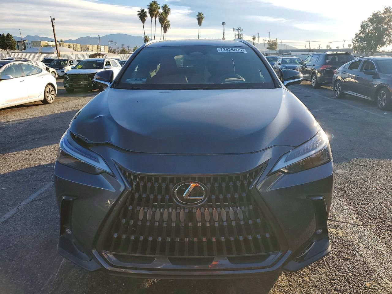 2023 Lexus Nx 250