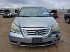 2010 Honda Odyssey exl