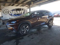 2019 Lexus Nx 300 Base en venta en Hayward, CA