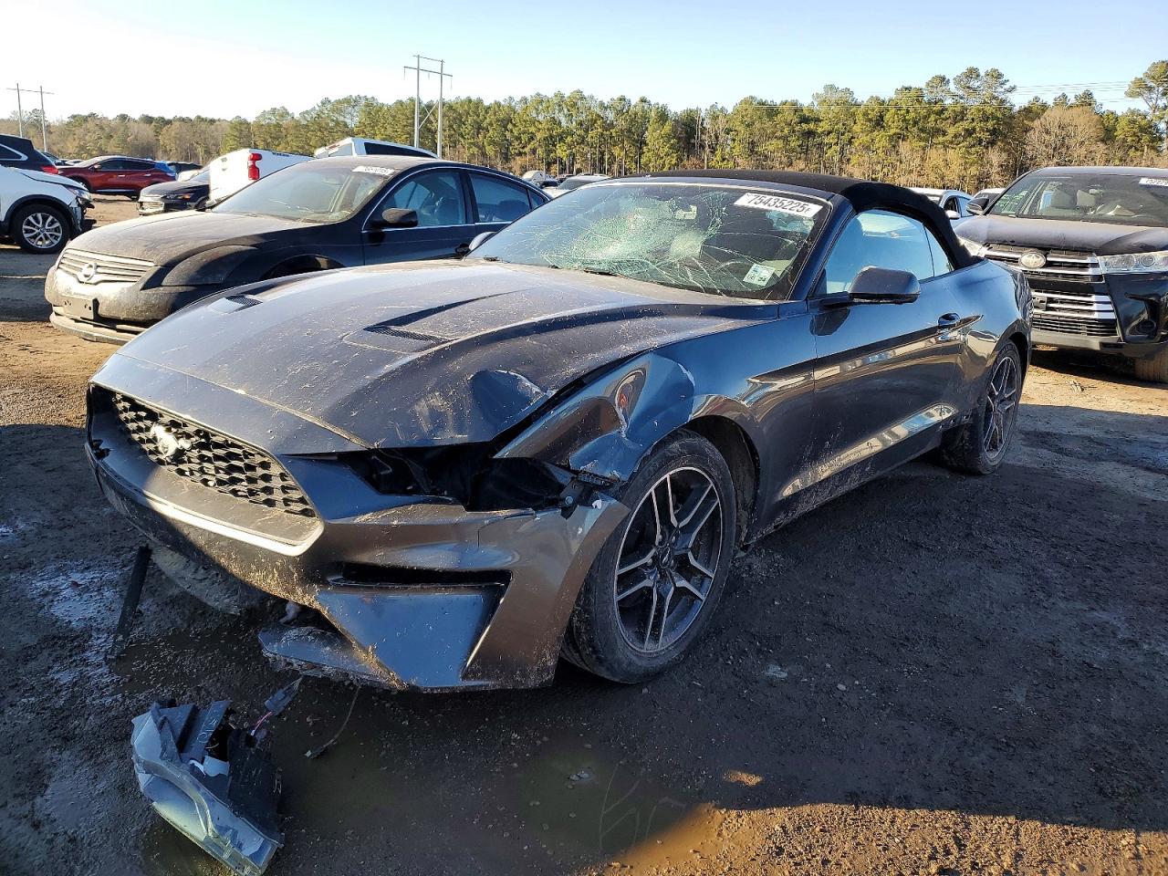 2019 Ford Mustang