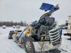 New arrivals for sale at auction: 2024 Freightliner Cascadia 126 Semi Truck