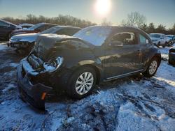 Volkswagen Beetle salvage cars for sale: 2019 Volkswagen Beetle s