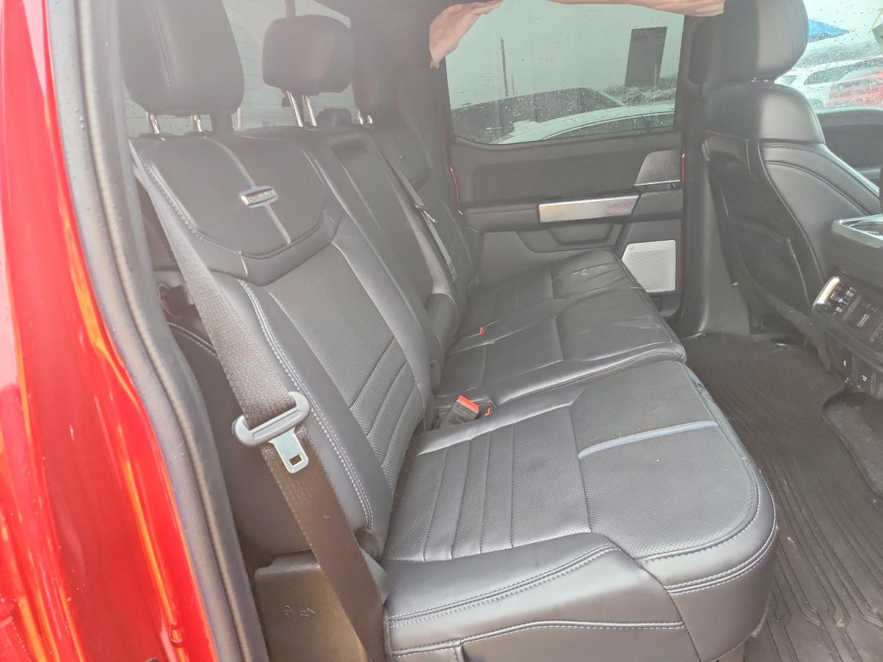 2025 Ford F150 Platinum