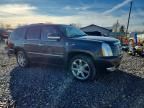 2010 Cadillac Escalade Premium