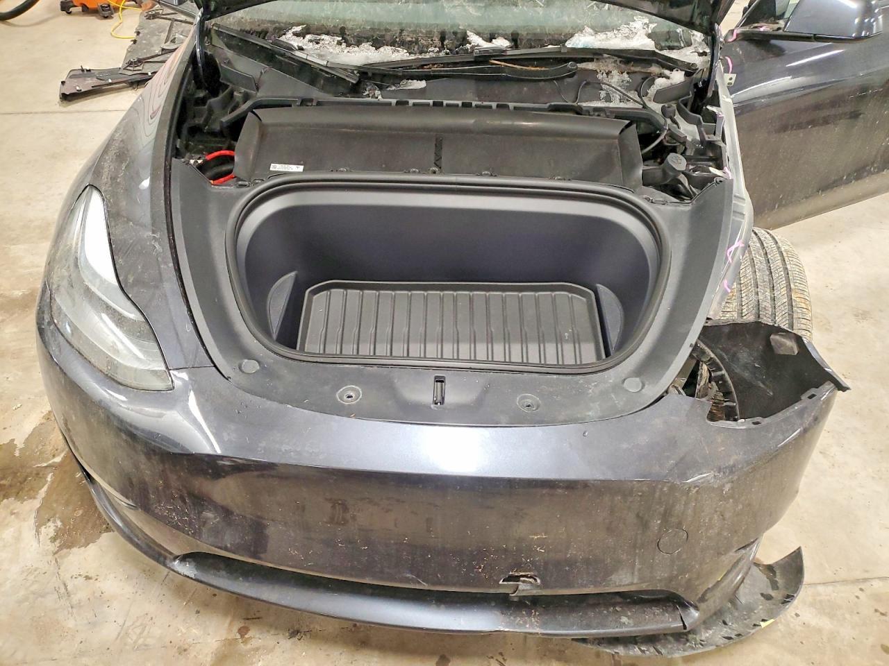 2025 Tesla Model y