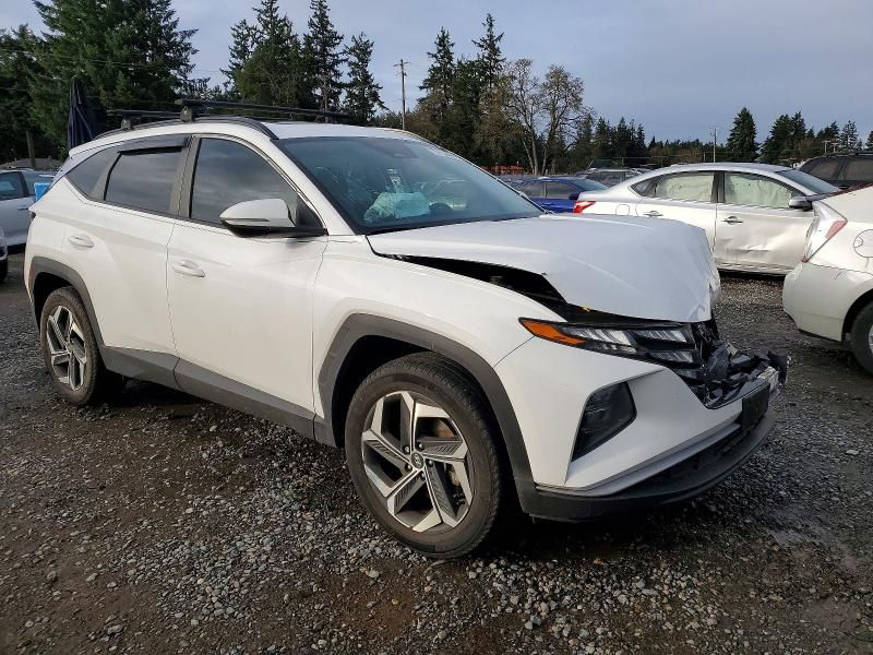 2023 Hyundai Tucson sel
