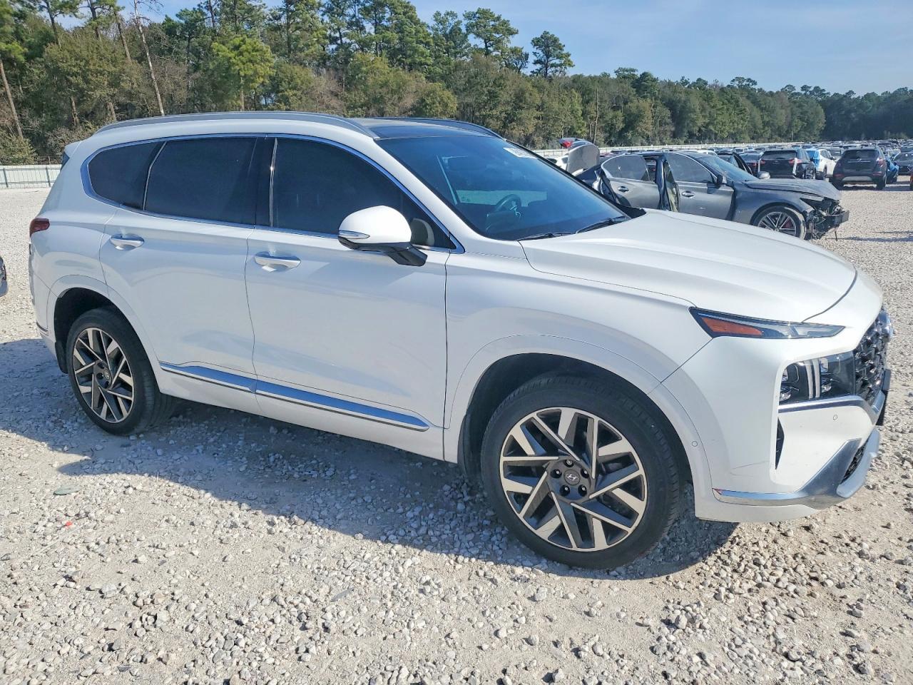 2023 Hyundai Santa fe Calligraphy