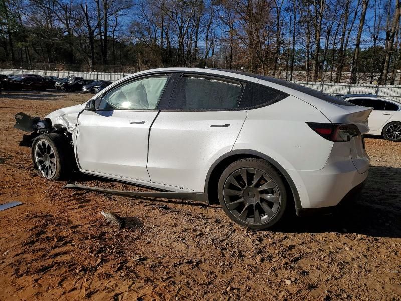 2022 Tesla Model y