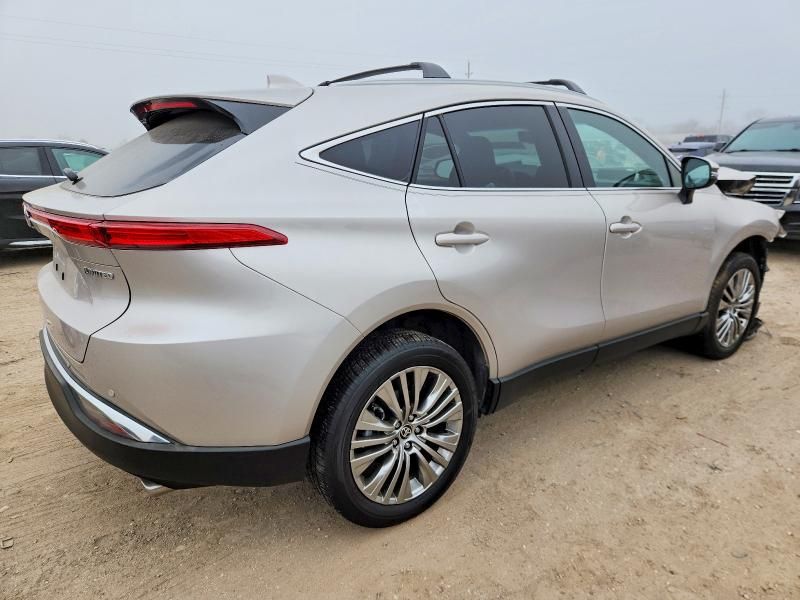 2024 Toyota Venza le