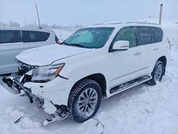 Lexus salvage cars for sale: 2015 Lexus Gx 460 Premium