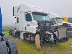 2019 Freightliner Cascadia 126 Semi Truck