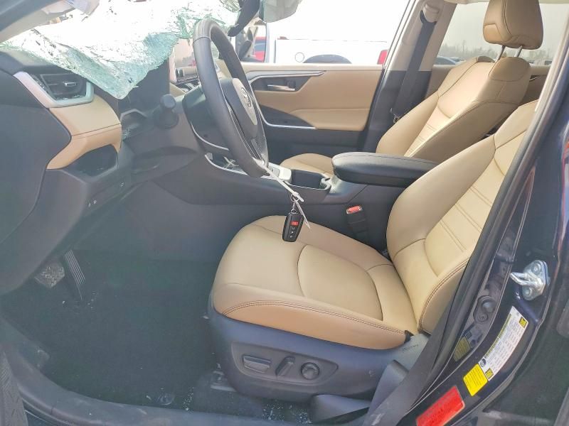 2025 Toyota Rav4 xle Premium