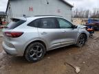 2024 Ford Escape st Line