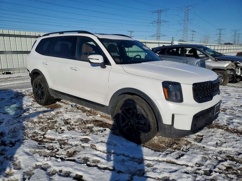 2025 KIA Telluride ex