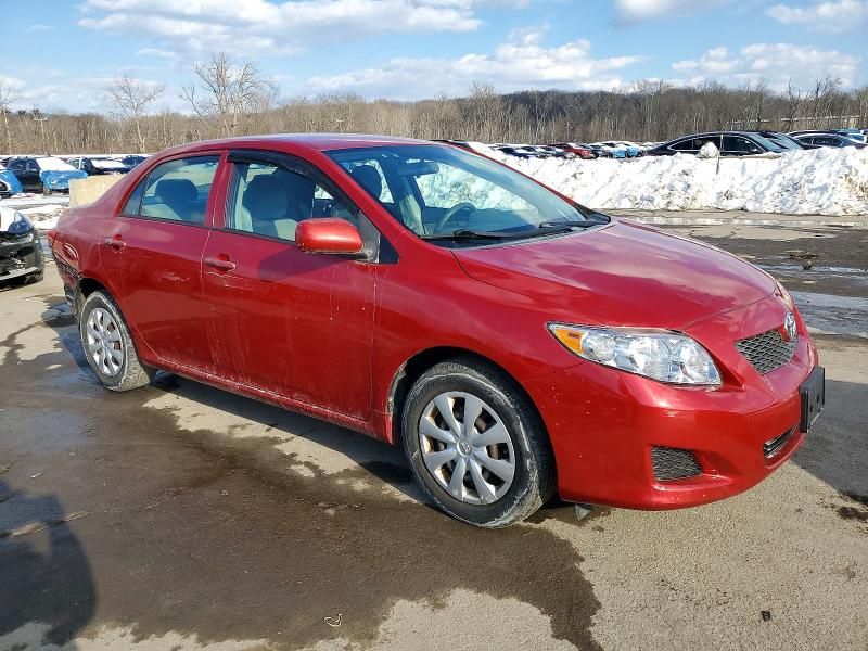 2010 Toyota Corolla Base
