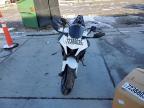 2022 Yama YZFR7