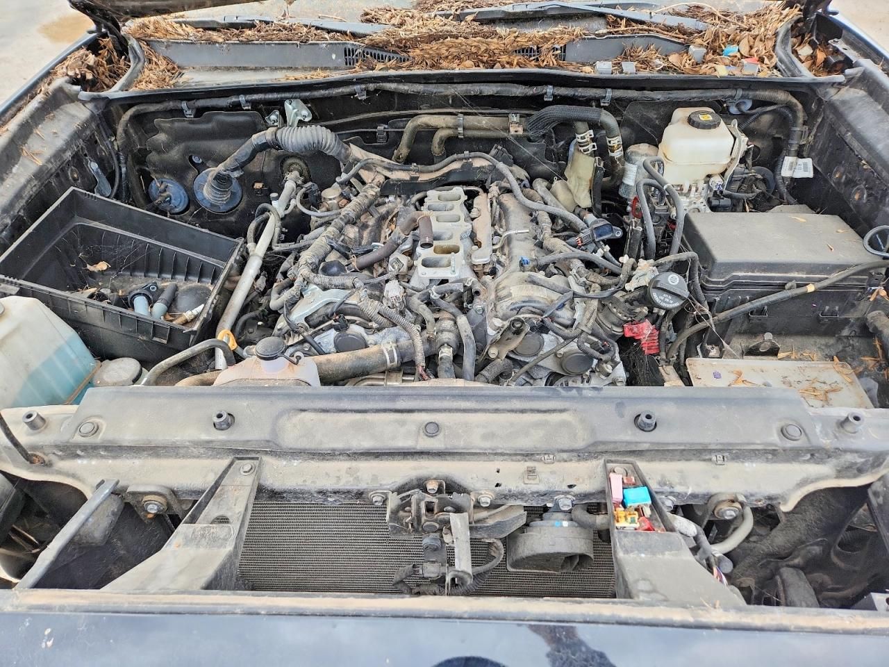 2023 Toyota Tacoma Double cab