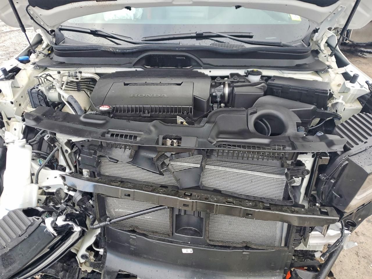 2026 Honda Passport Trail Sport