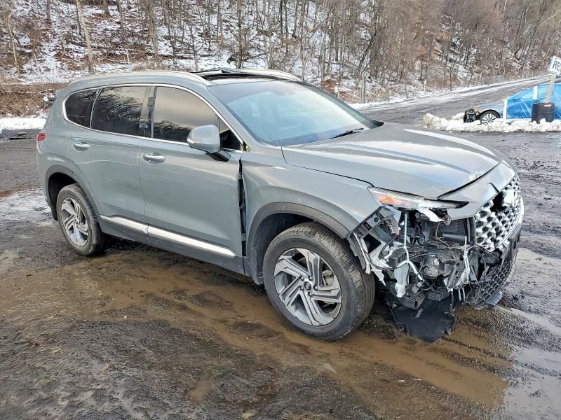 2023 Hyundai Santa fe sel Premium
