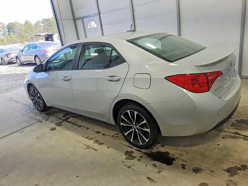 2019 Toyota Corolla l