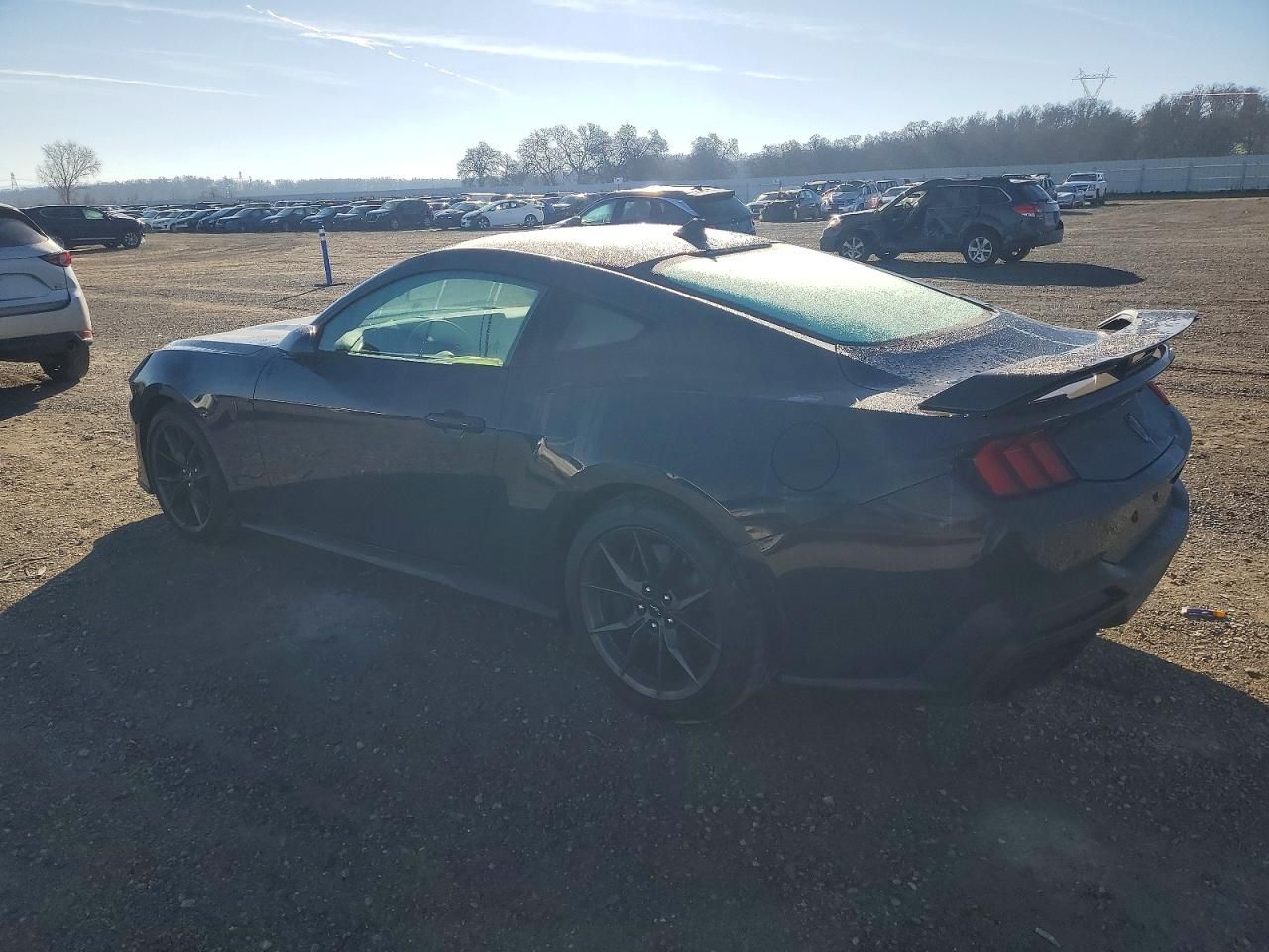 2025 Ford Mustang Dark Horse