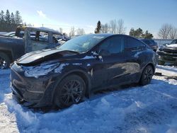 Tesla Model y salvage cars for sale: 2024 Tesla Model y