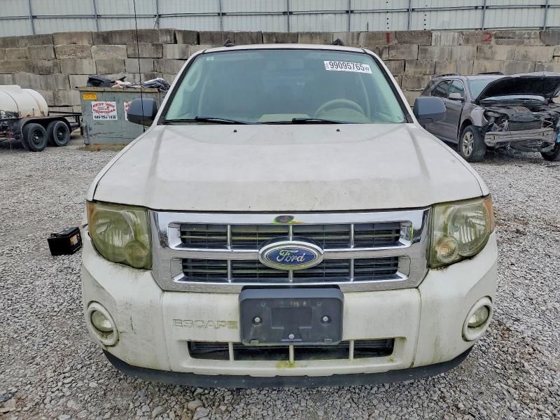 2010 Ford Escape xlt