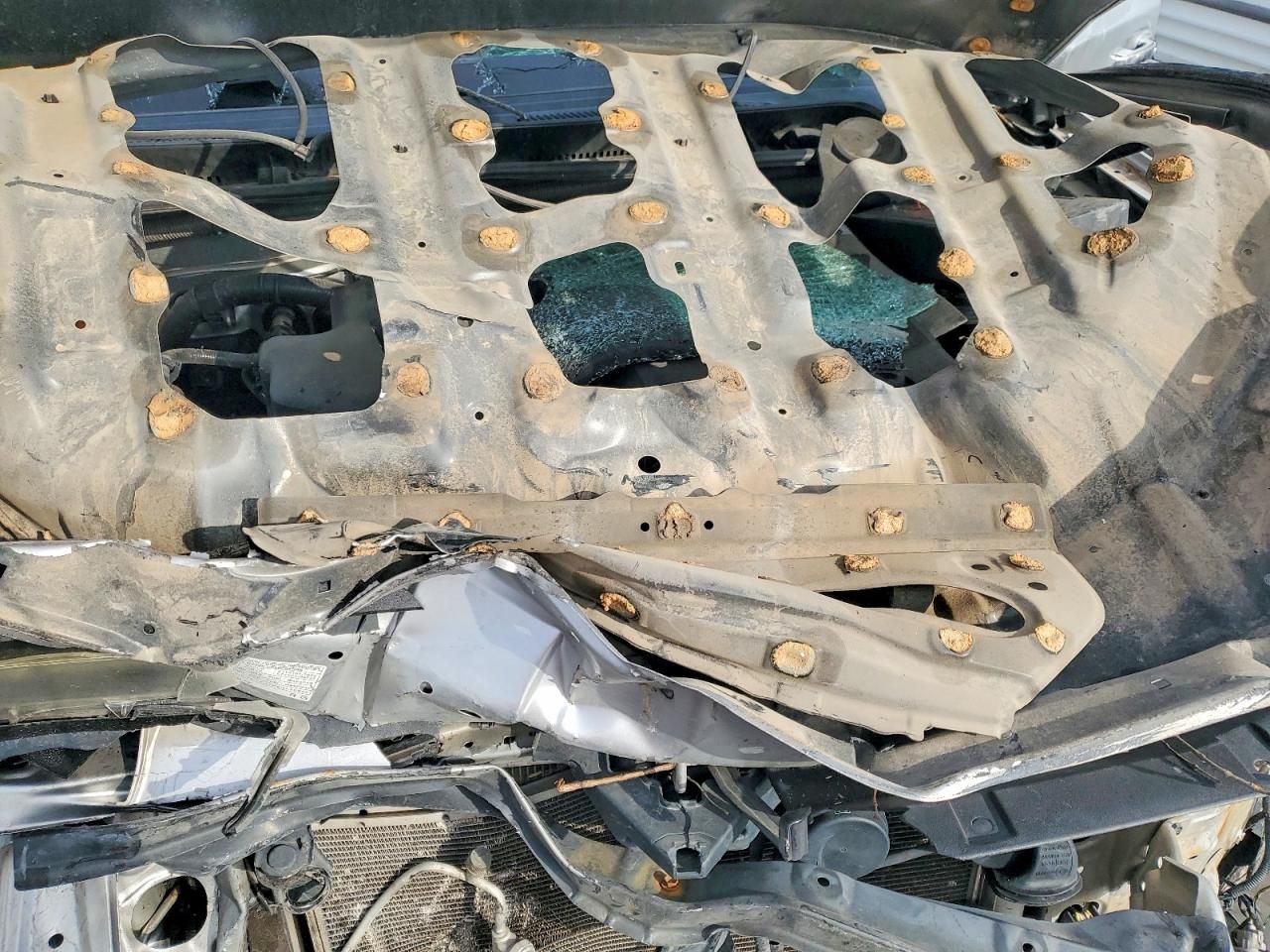 2014 Toyota 4runner SR5