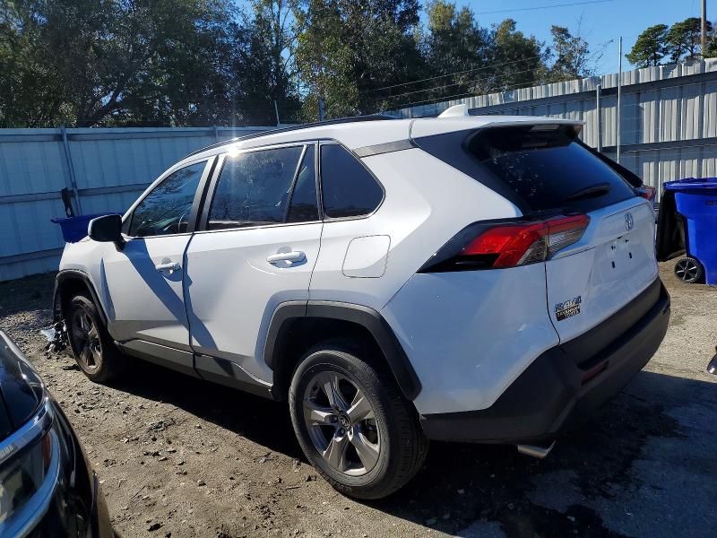 2025 Toyota Rav4 xle