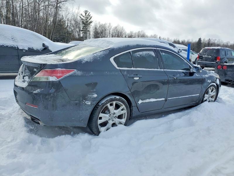 2014 Acura Tl Advance