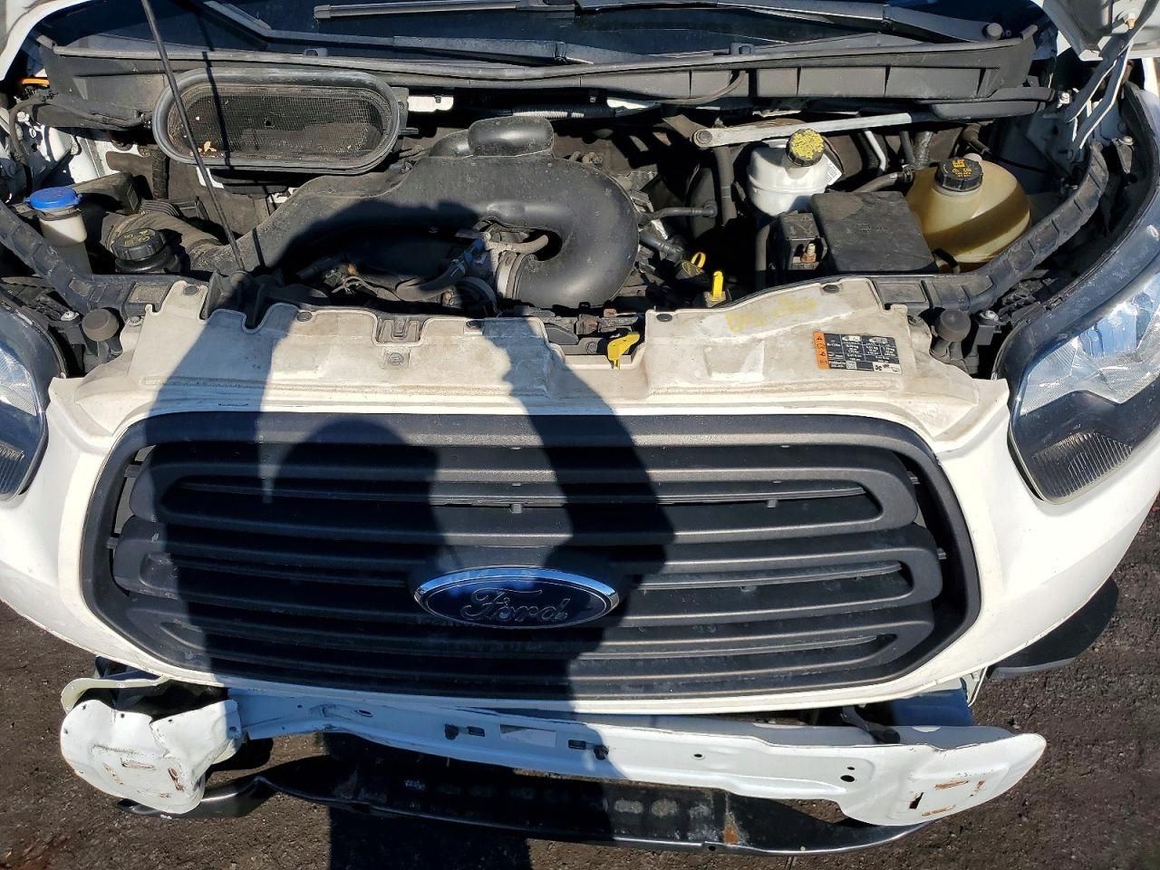 2019 Ford Transit T-150 Delivery Van