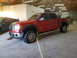 2011 Ford F150 Supercrew for sale in Lawrenceburg, KY