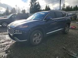 2022 Hyundai Santa fe sel for sale in Spanaway, WA