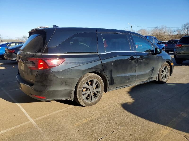 2023 Honda Odyssey Sport-l