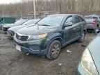 2012 KIA Sorento Base